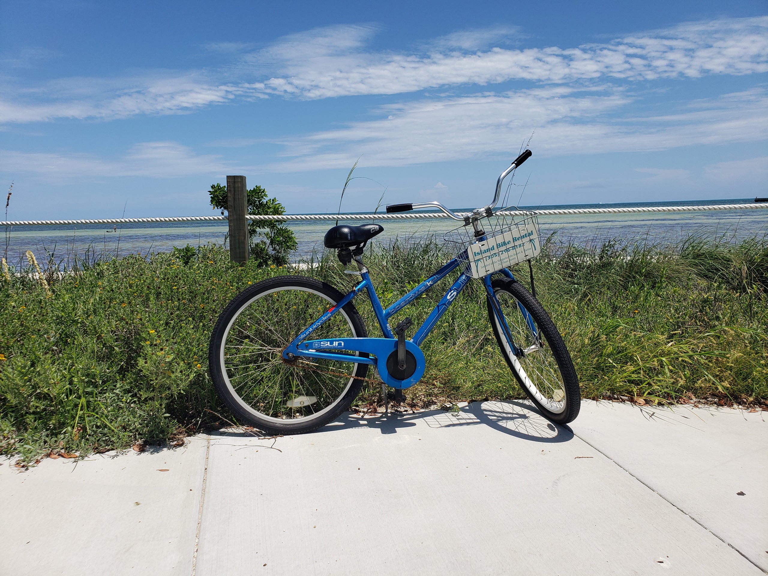 Island Life Bike Life Rental Island Life Beach Cruiser